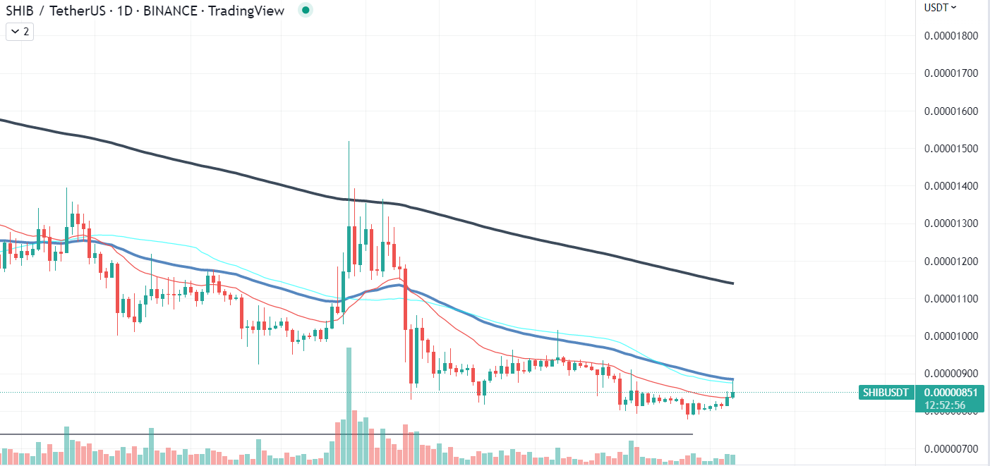 SHIB Chart