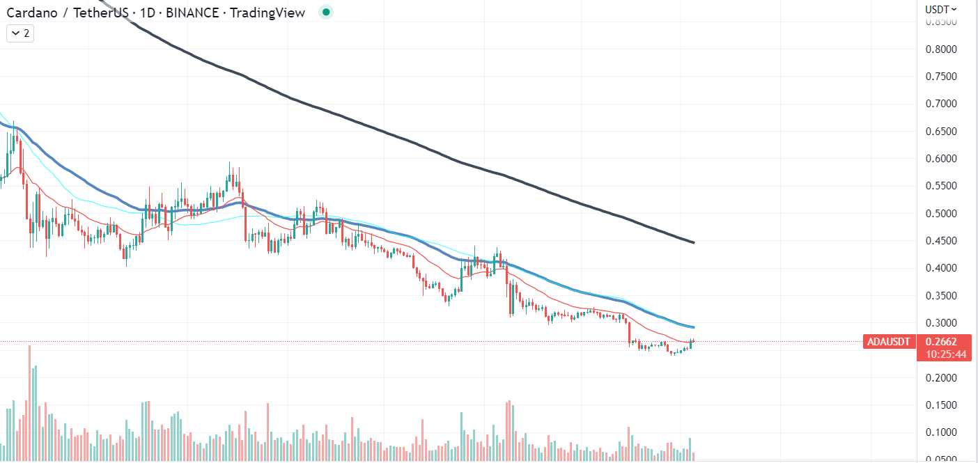 Cardano chart