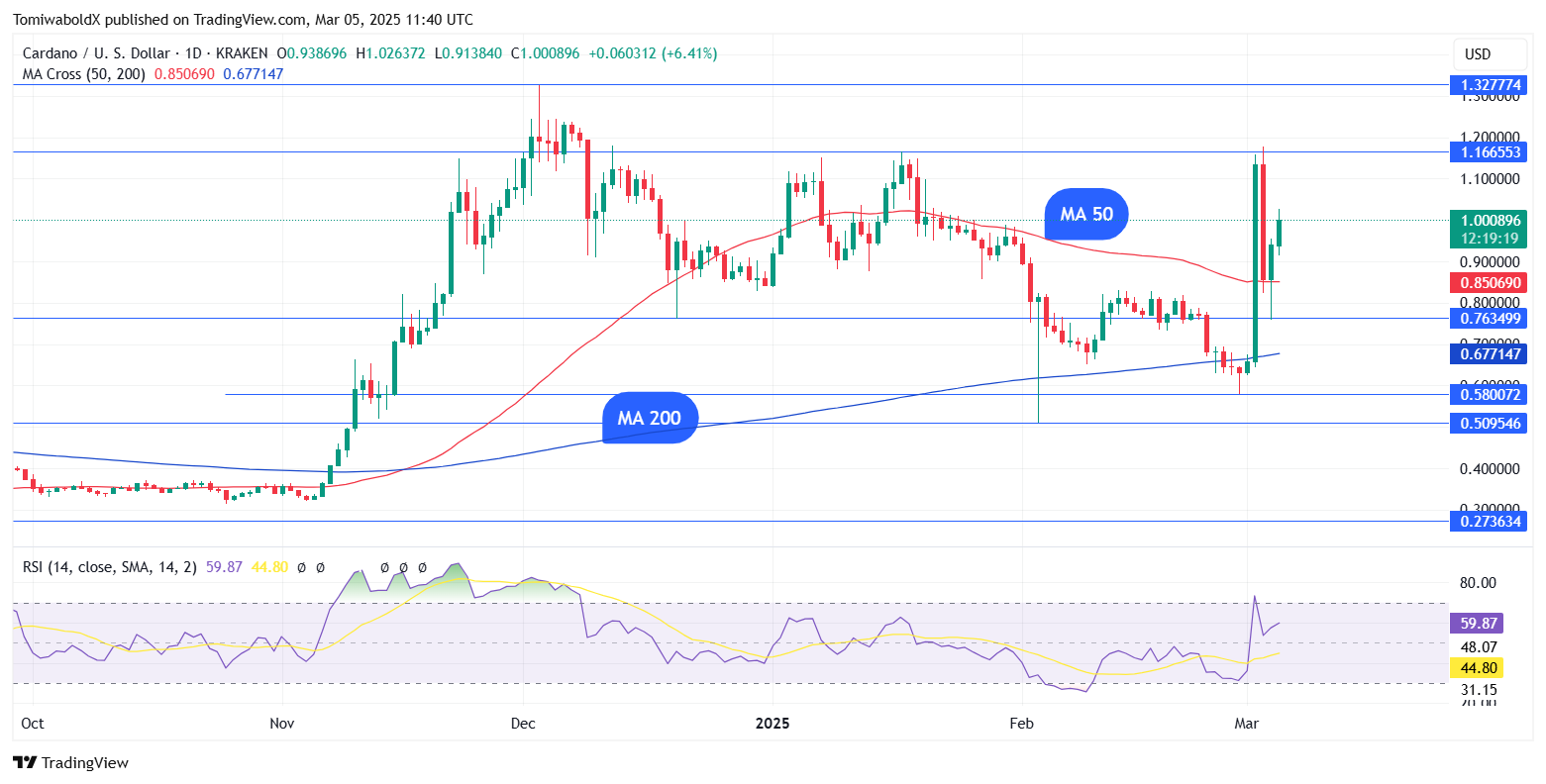  TradingView