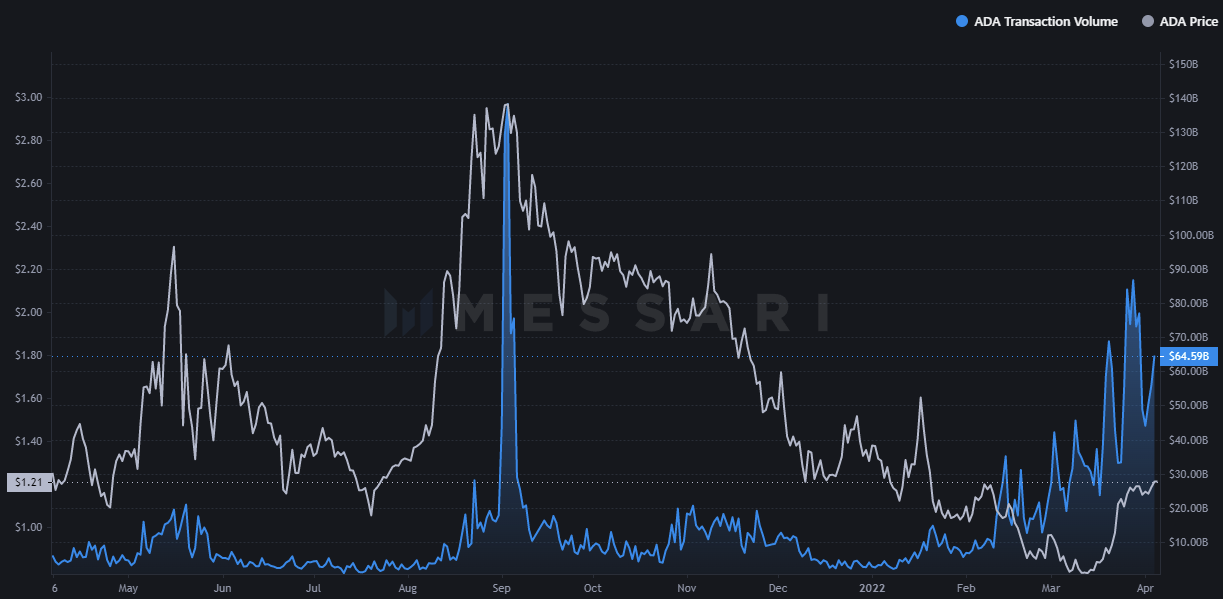 Cardano Data