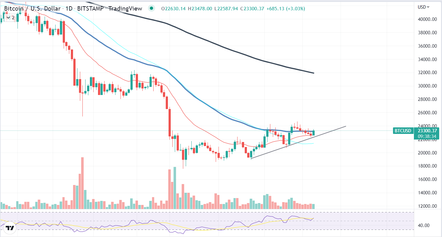 Gráfico Bitcoin