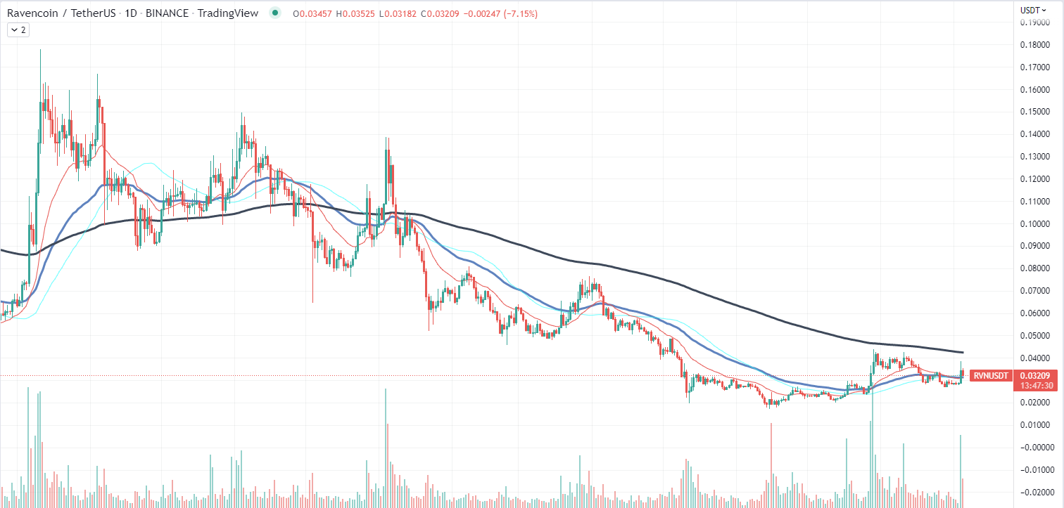 RVN Chart