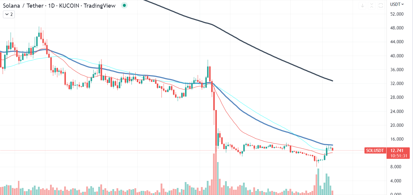 Bonk chart