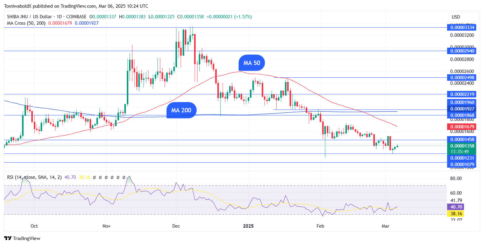 Shiba Inu Market Chart