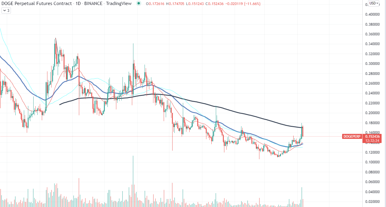 Dogecoin Price