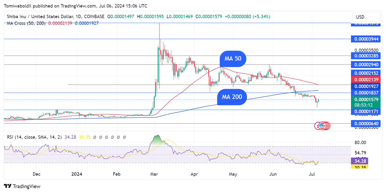 Shiba Inu Whales Reappear to Boost SHIB Price With 176% Activity Surge