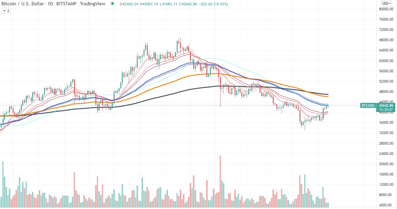 Bitcoin Chart