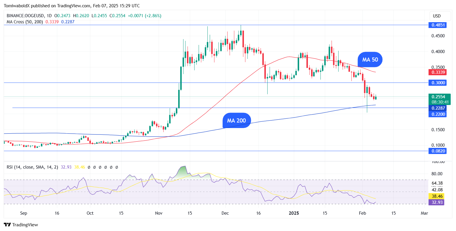 TradingView