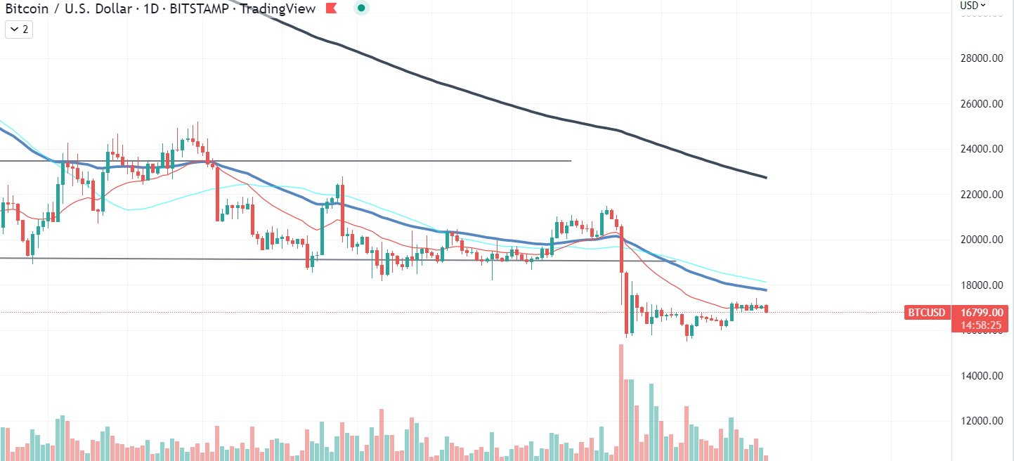 Διάγραμμα Bitcoin