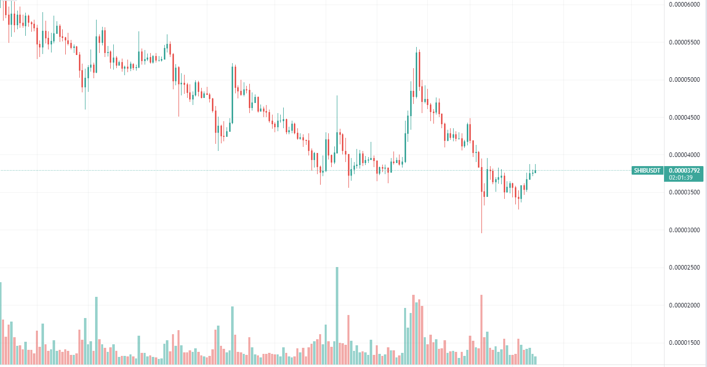 Shiba Daily Chart