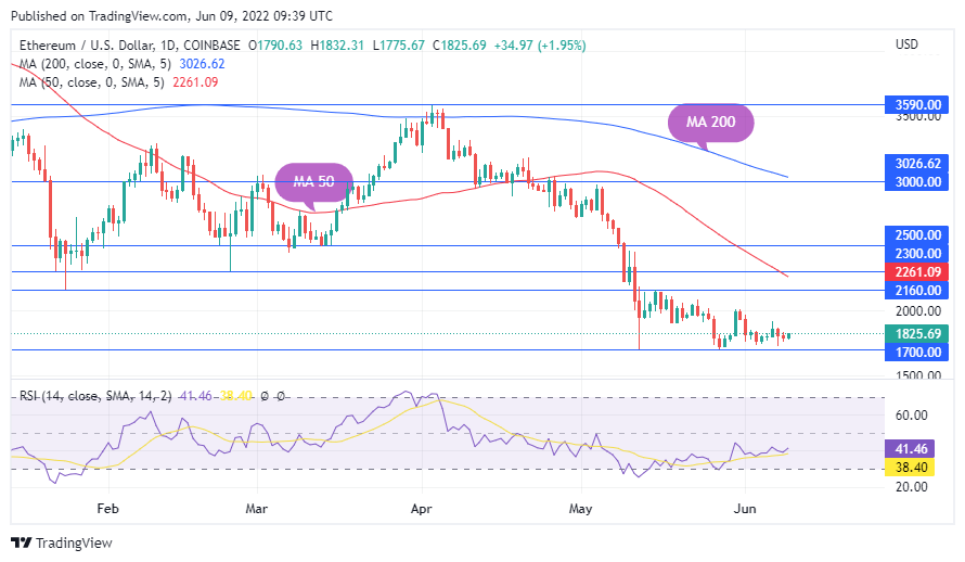 TradingView