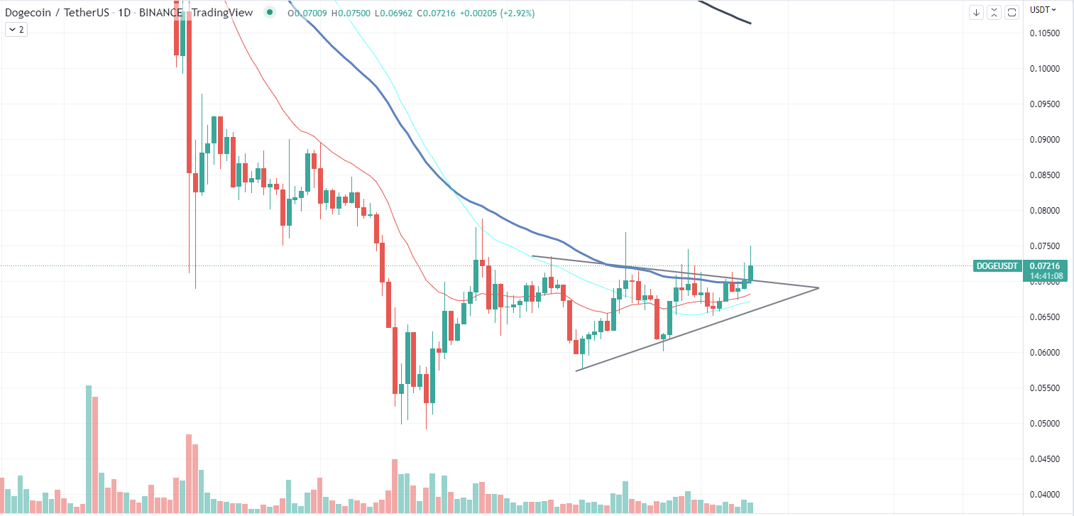 Doge Chart