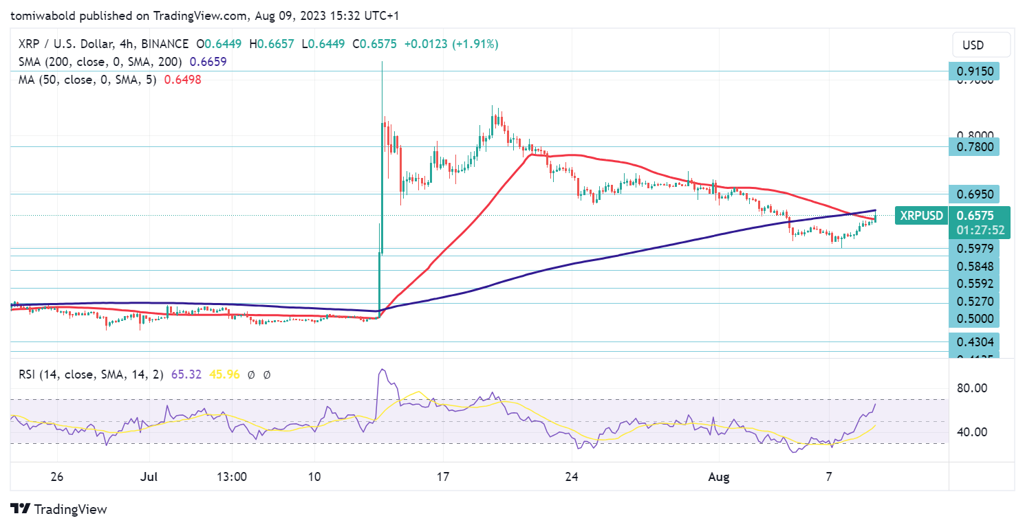 TradingView