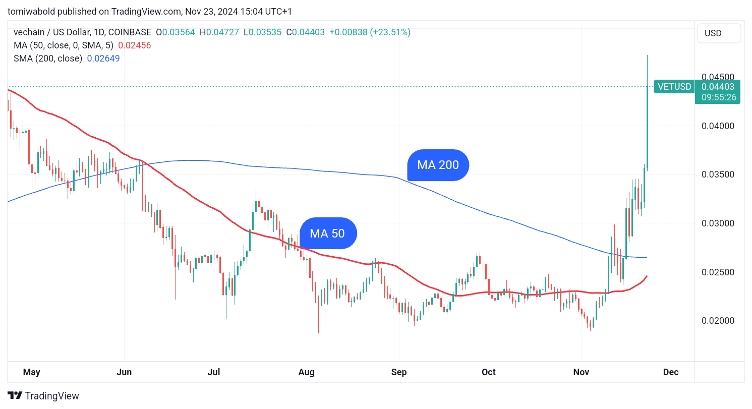 TradingView 