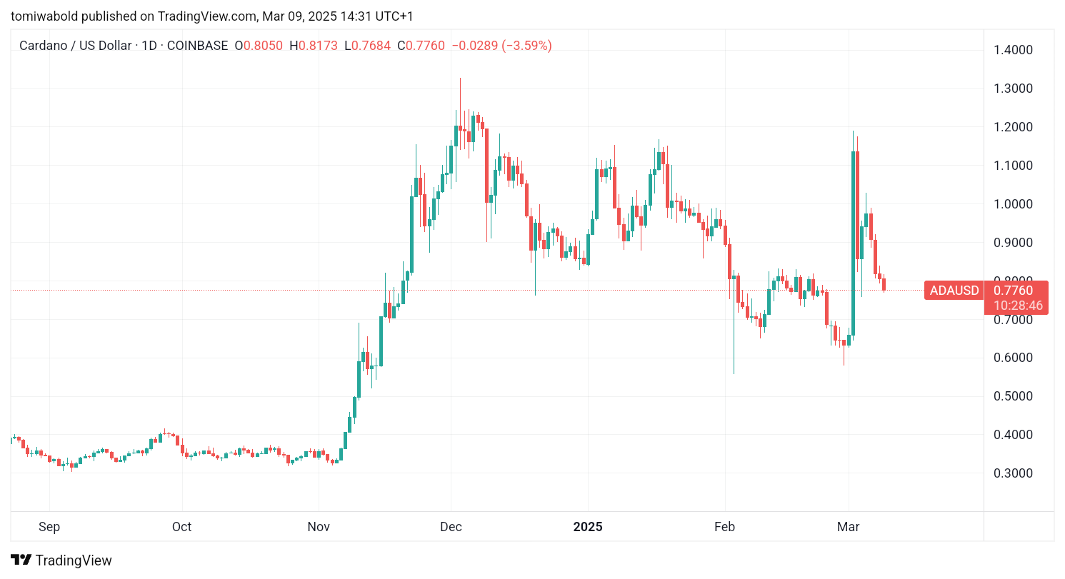 TradingView 