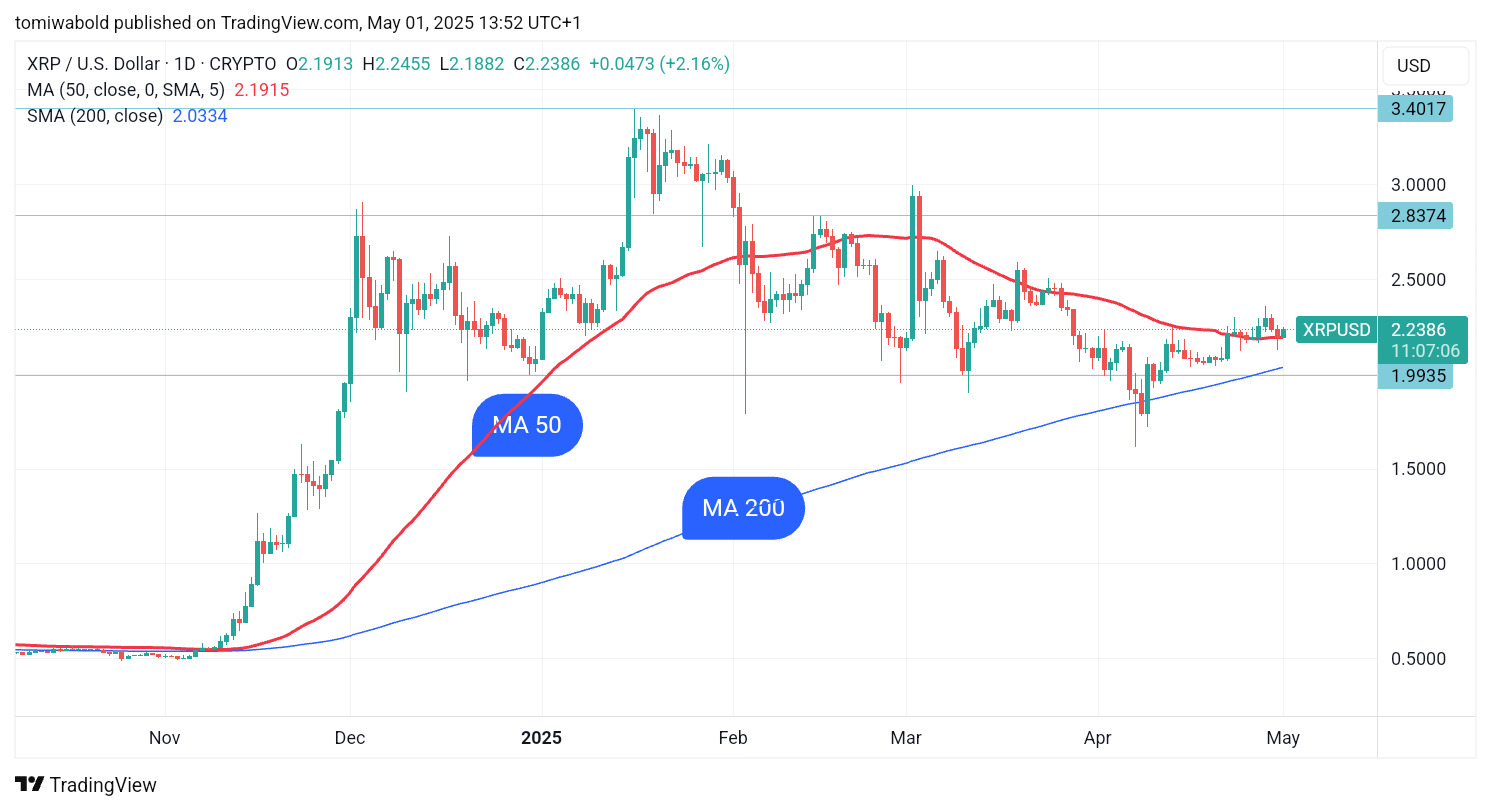 TradingView 