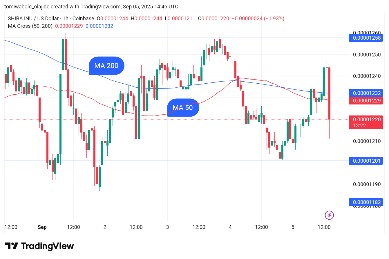 TradingView 
