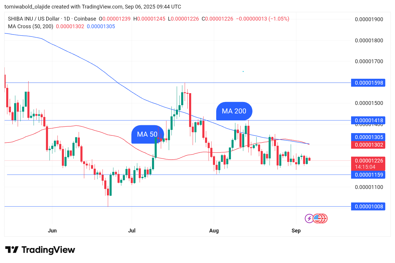 TradingView 