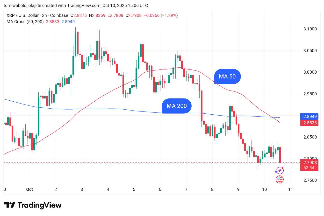 TradingView 