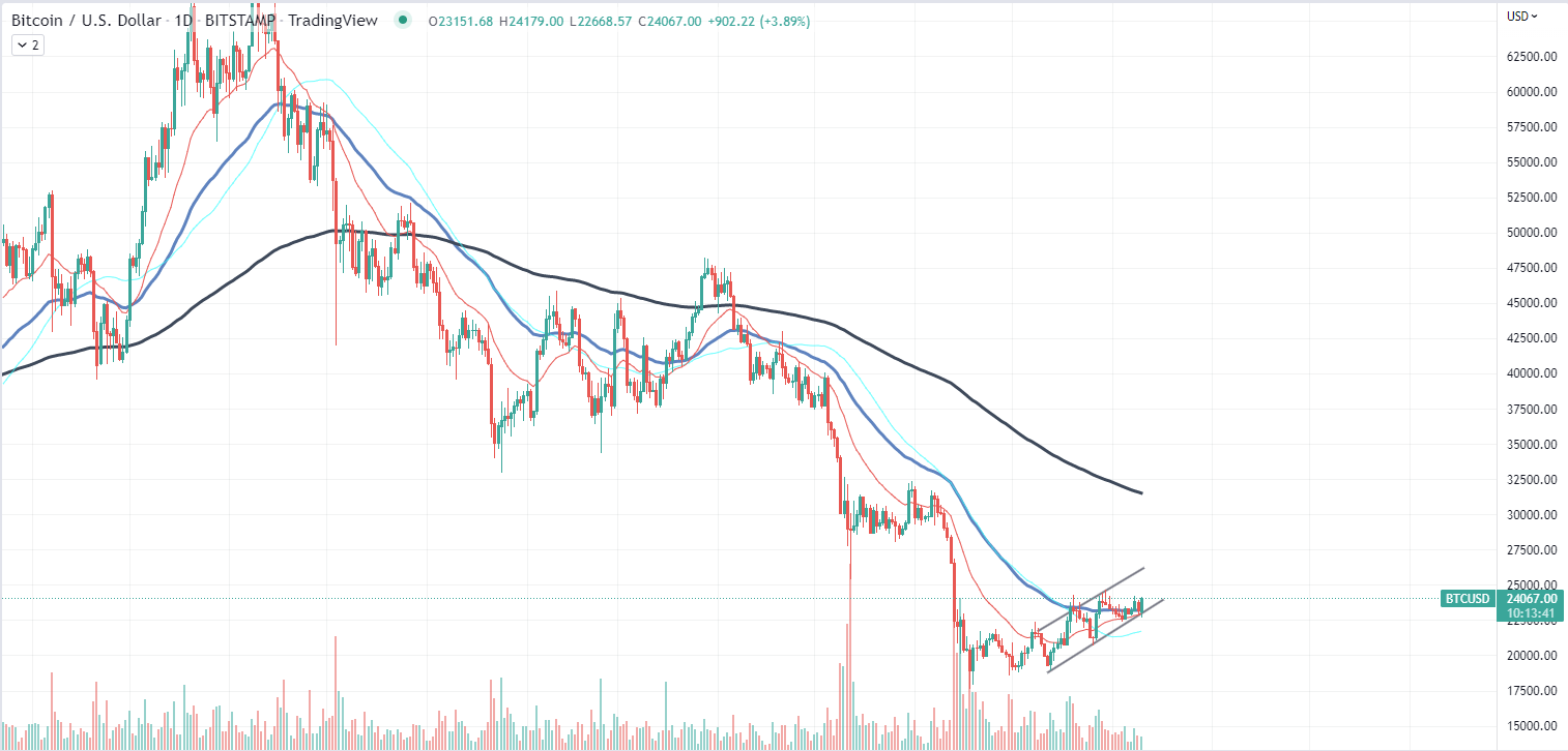 គំនូសតាង Bitcoin