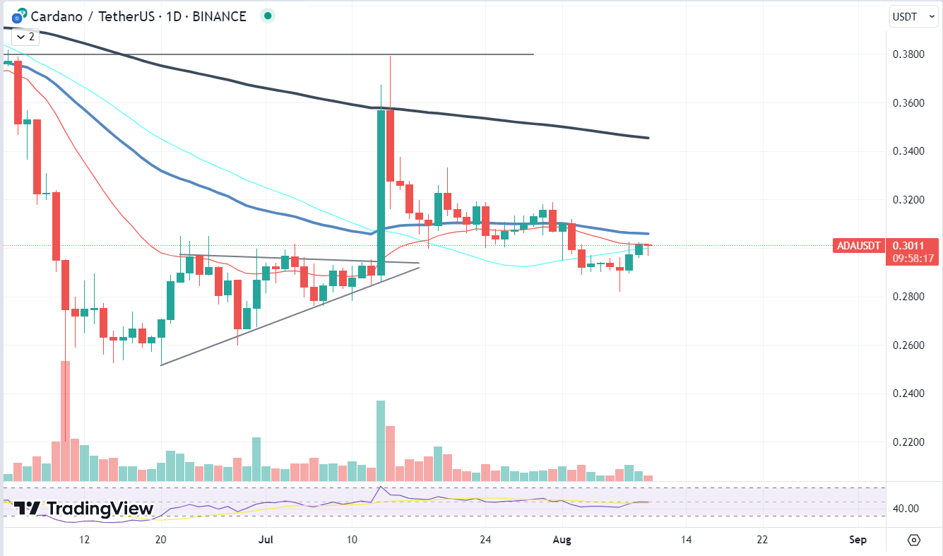 Cardano chart