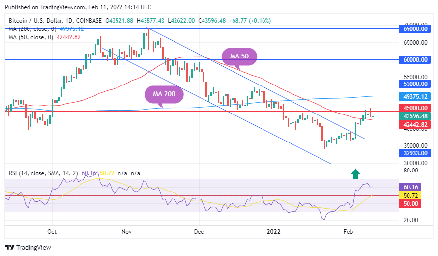 TradingView