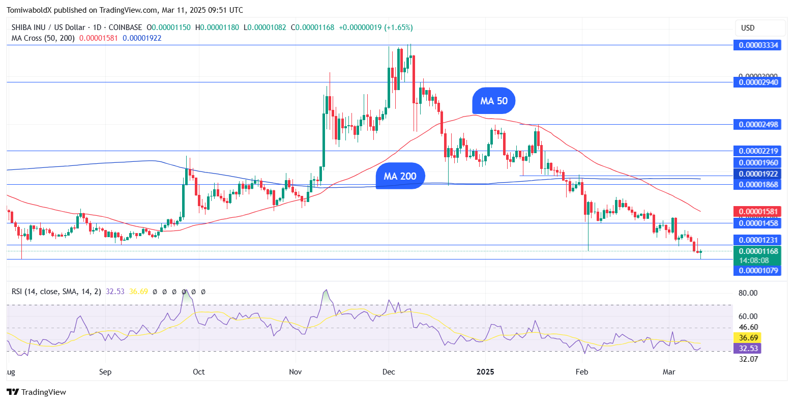 TradingView