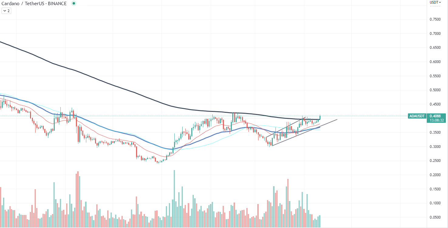 Cardano chart