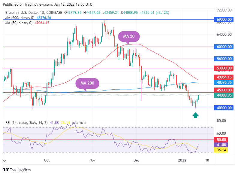 TradingView