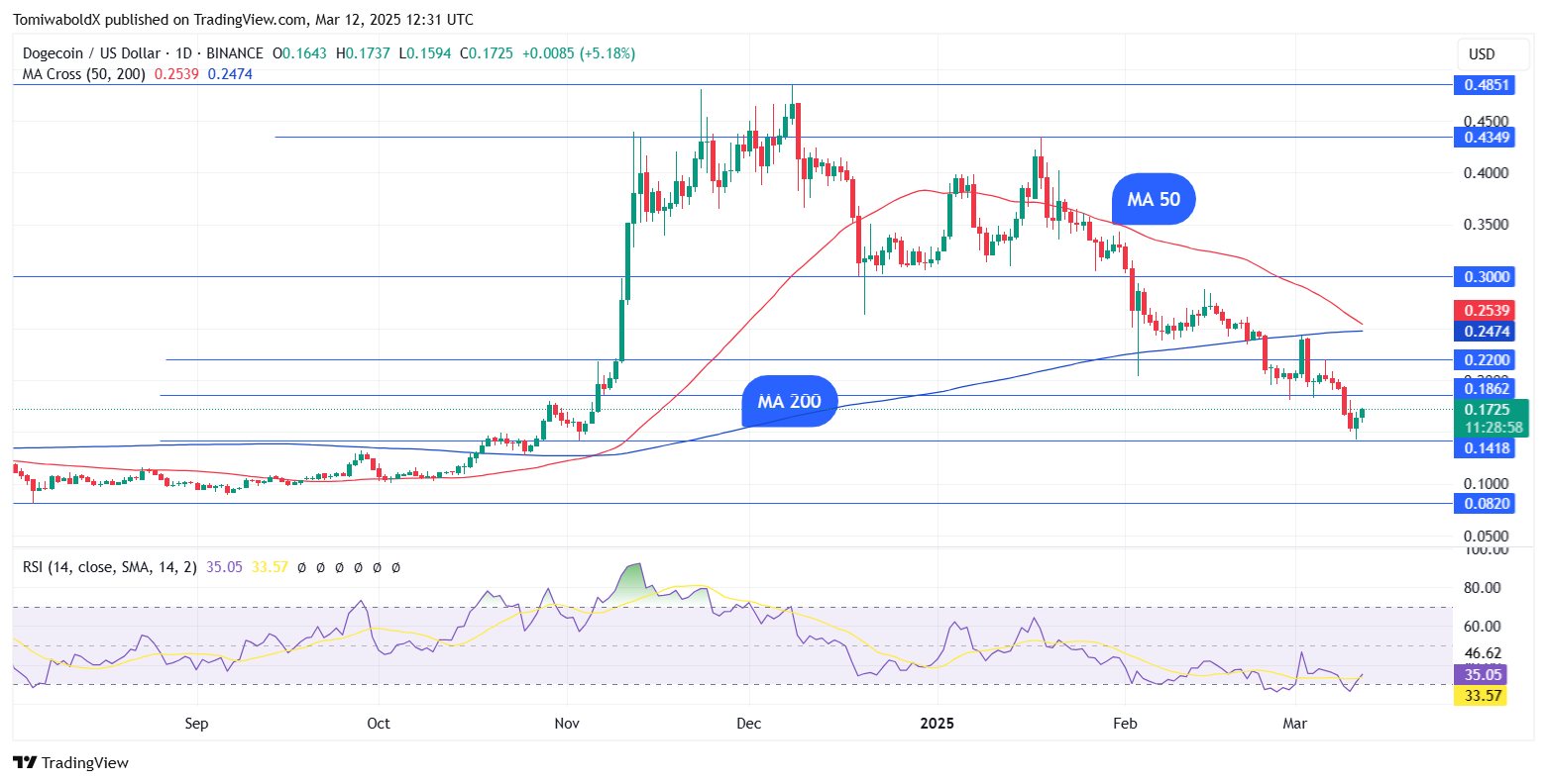 TradingView