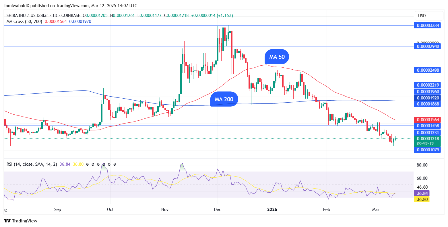 TradingView