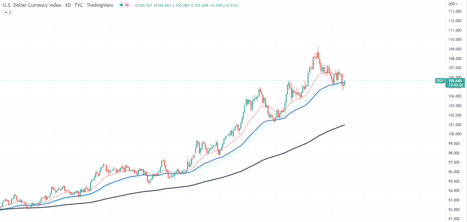 Rally USD