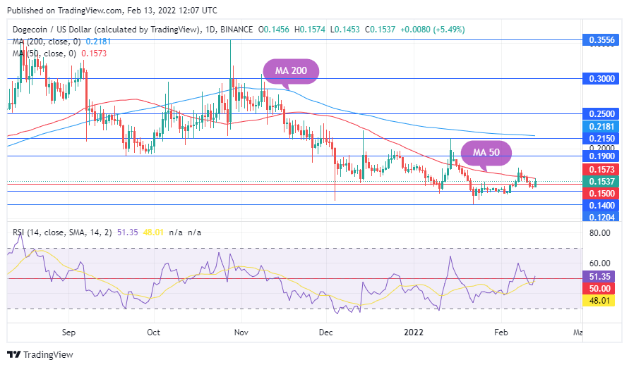 TradingView