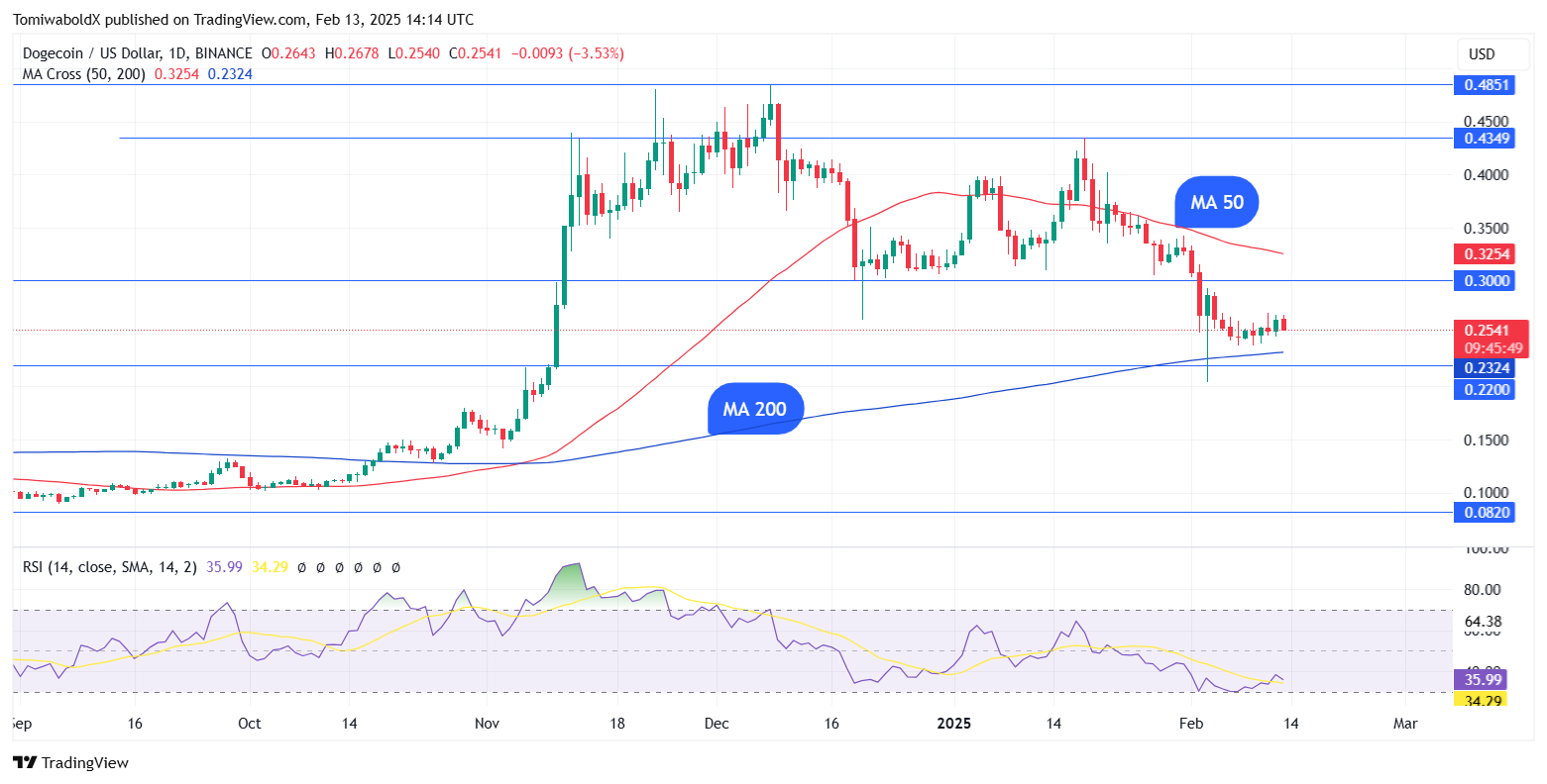 TradingView