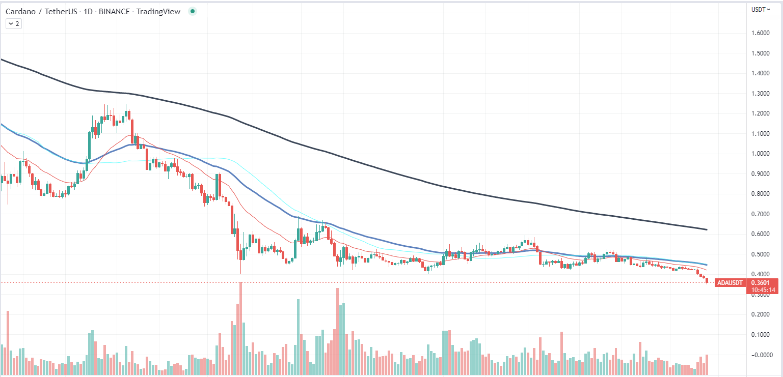 Cardano chart