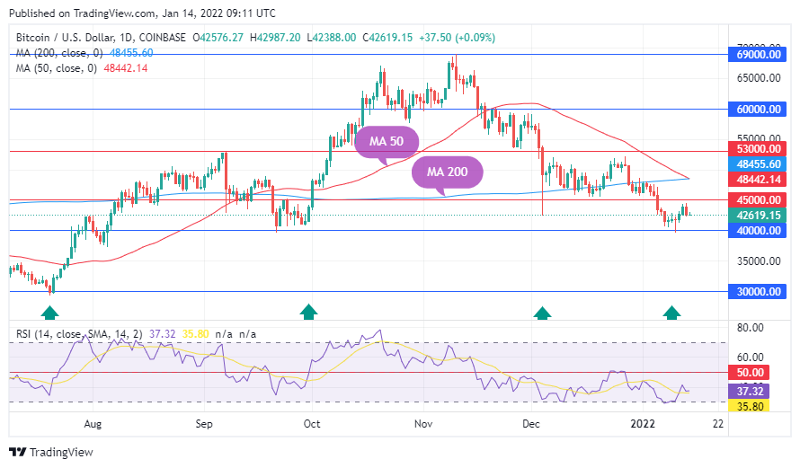 TradingView