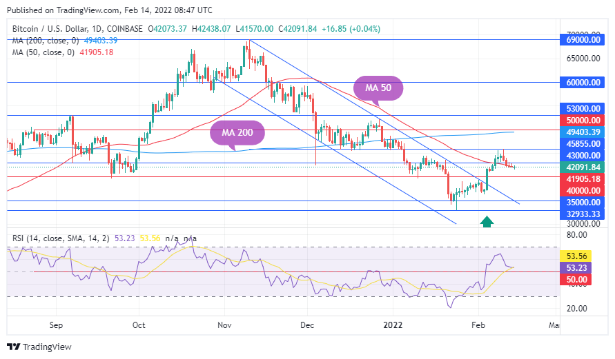 TradingView