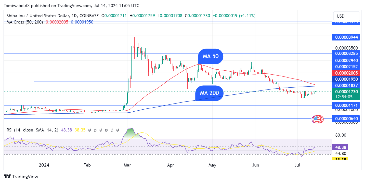 TradingView