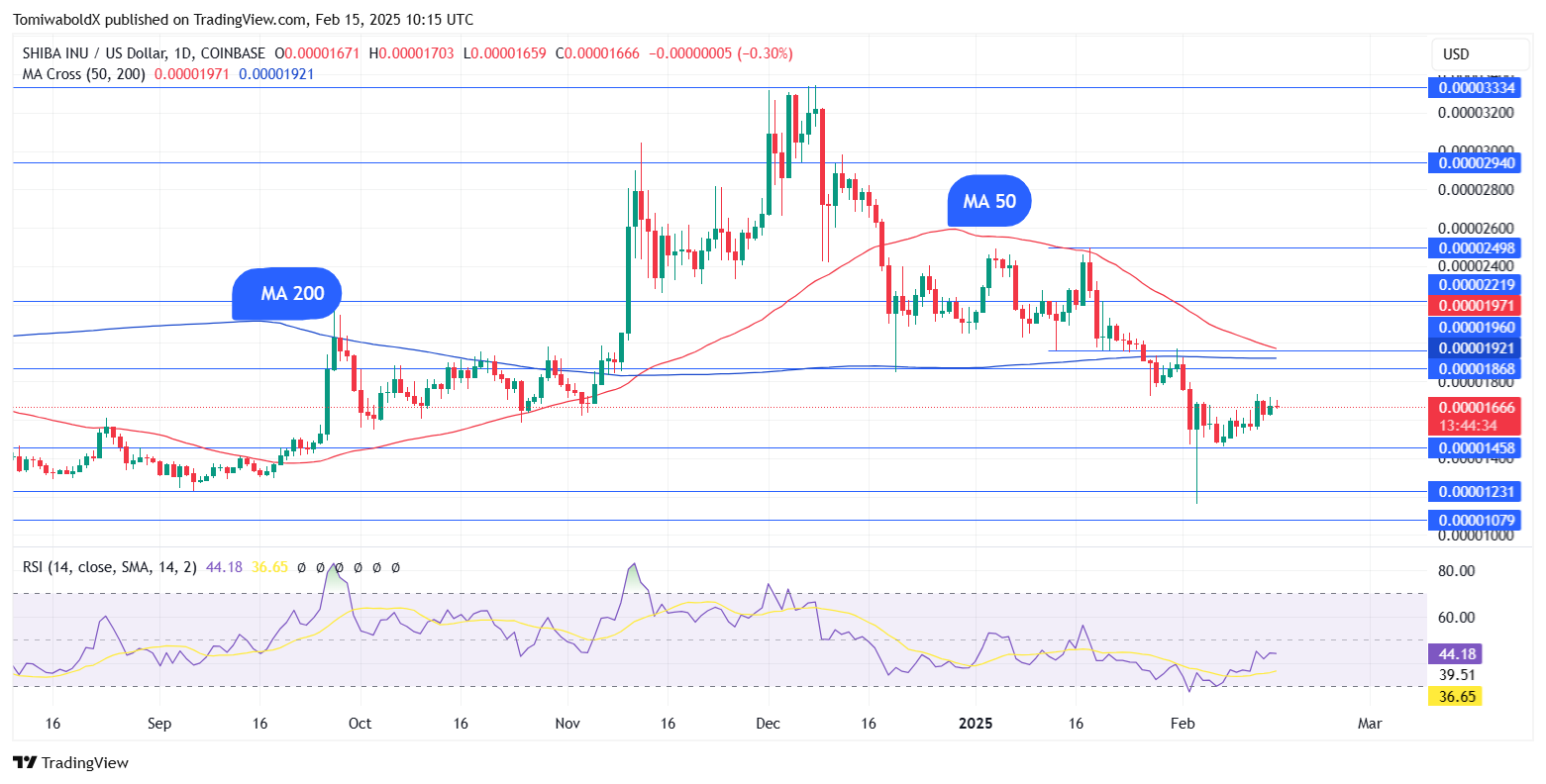 TradingView