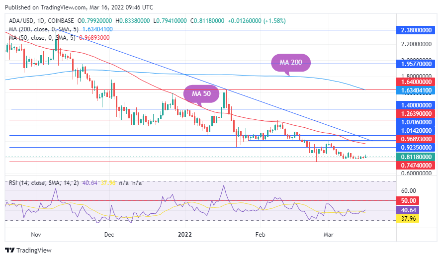 TradingView