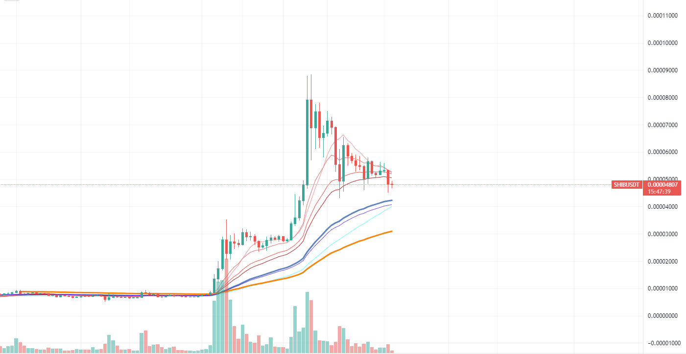 Shiba Inu Daily Chart