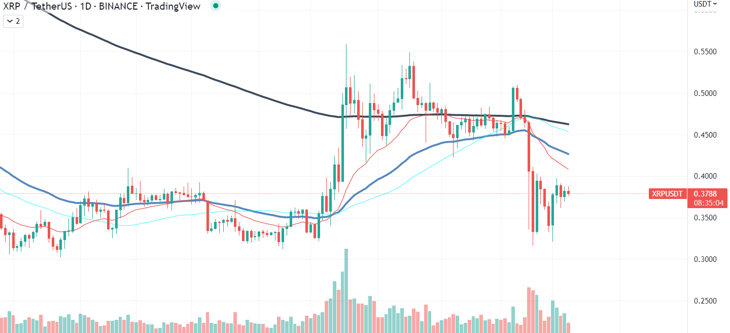 XRP աղյուսակ