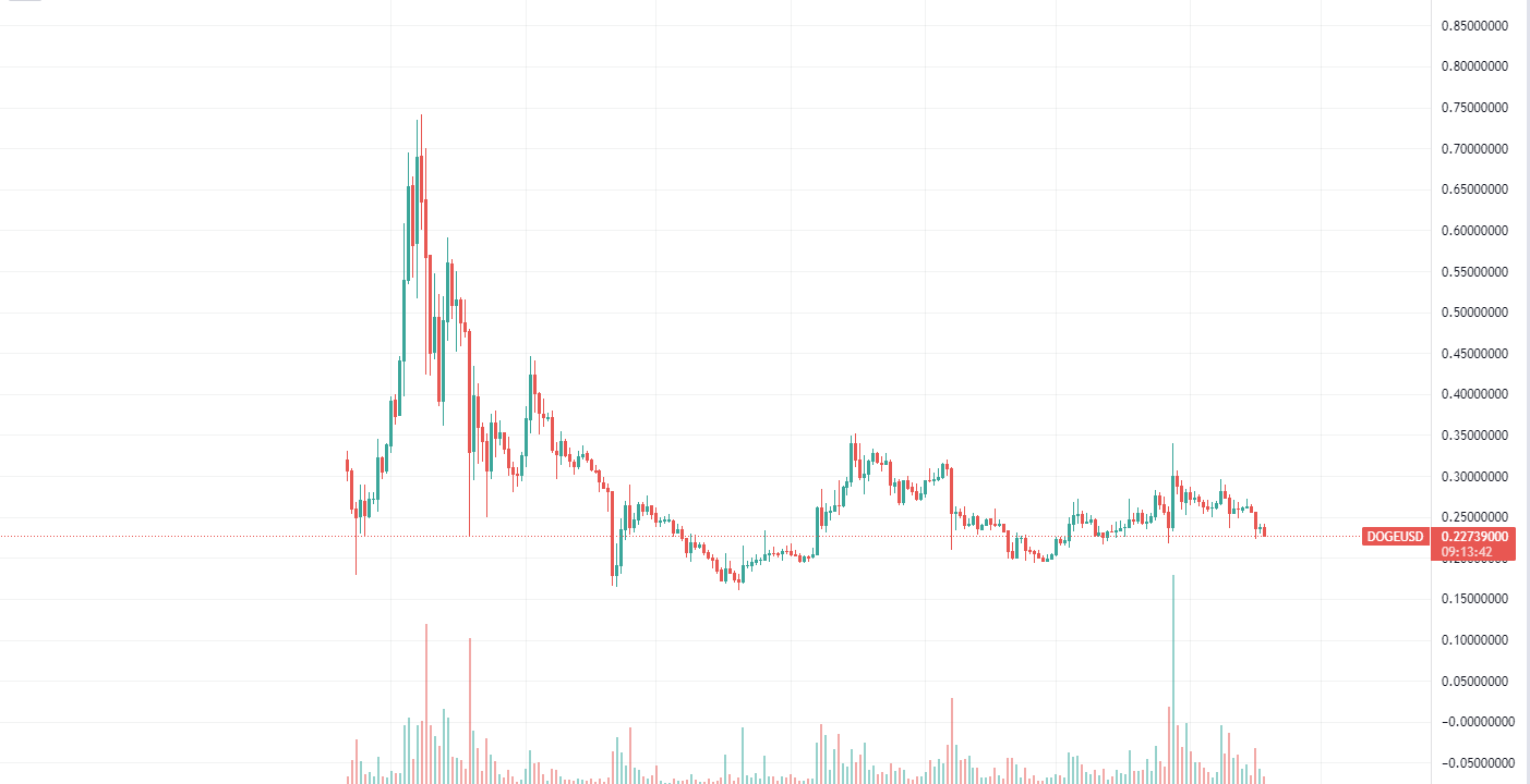 Dogecoin Daily Chart