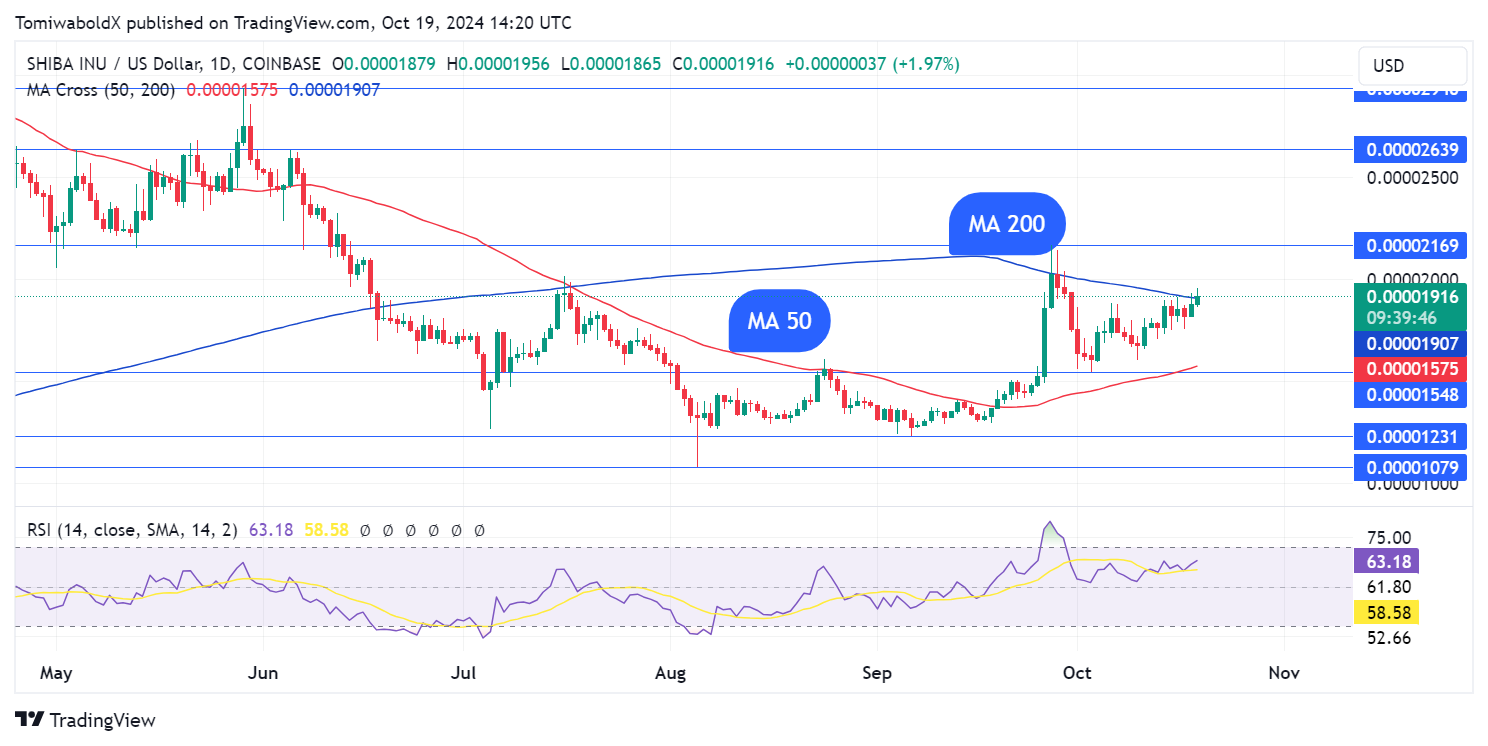  TradingView