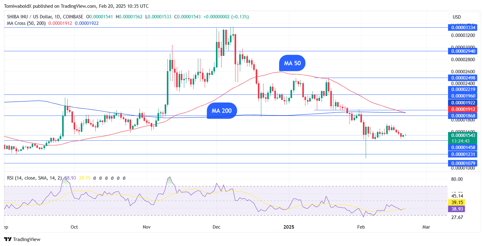 TradingView