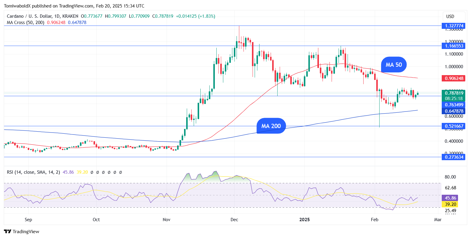 TradingView