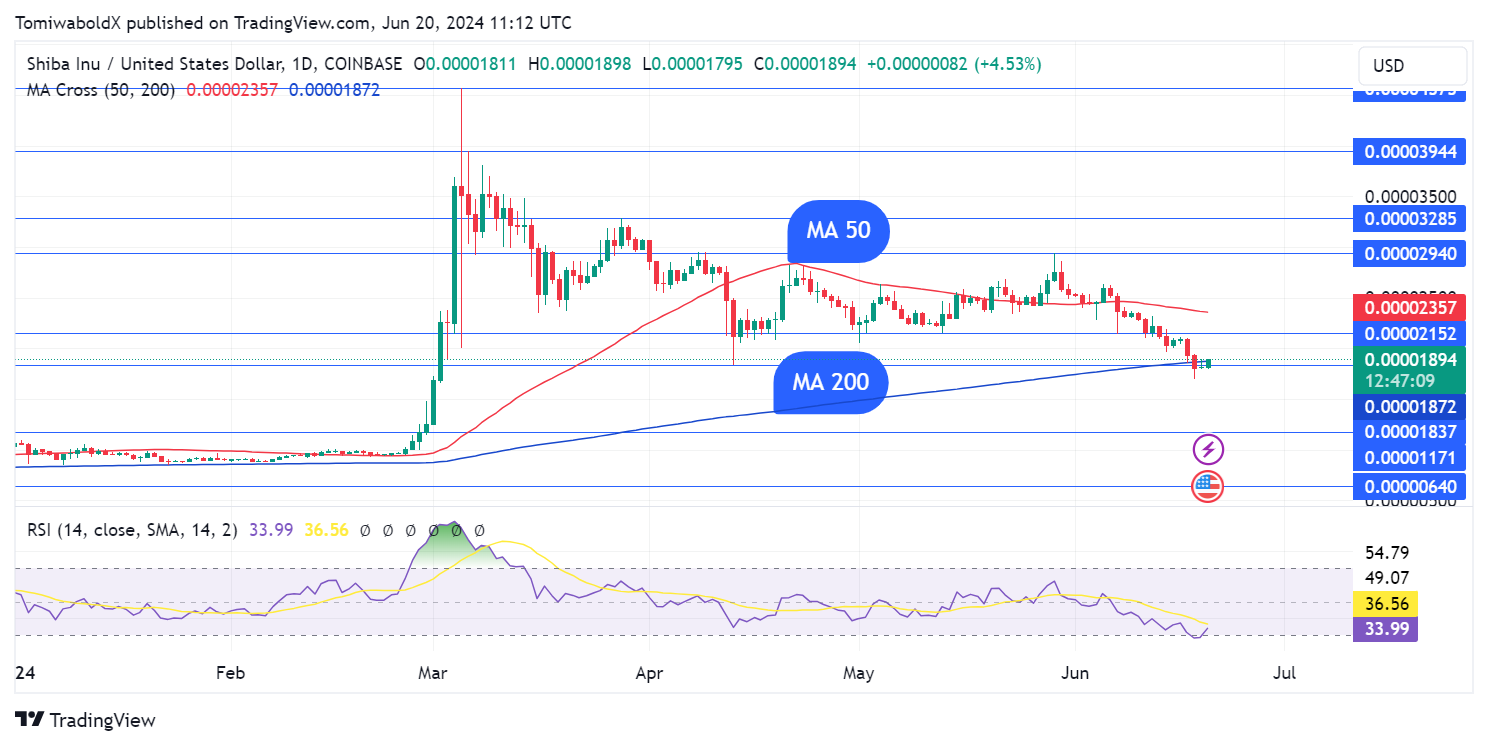 Shiba Inu (SHIB) se dispara un 4,320% en flujos netos en un impulso épico de recuperación de precios