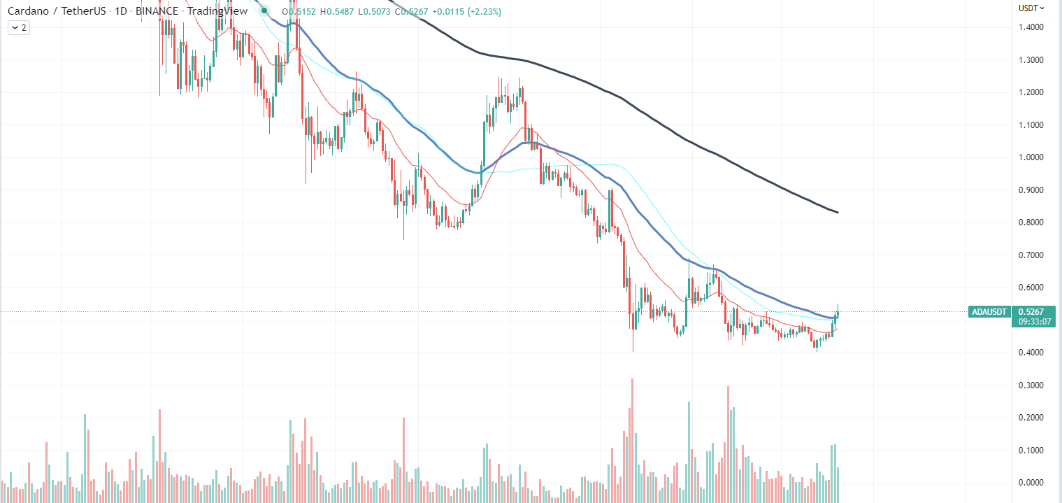 ADA Chart