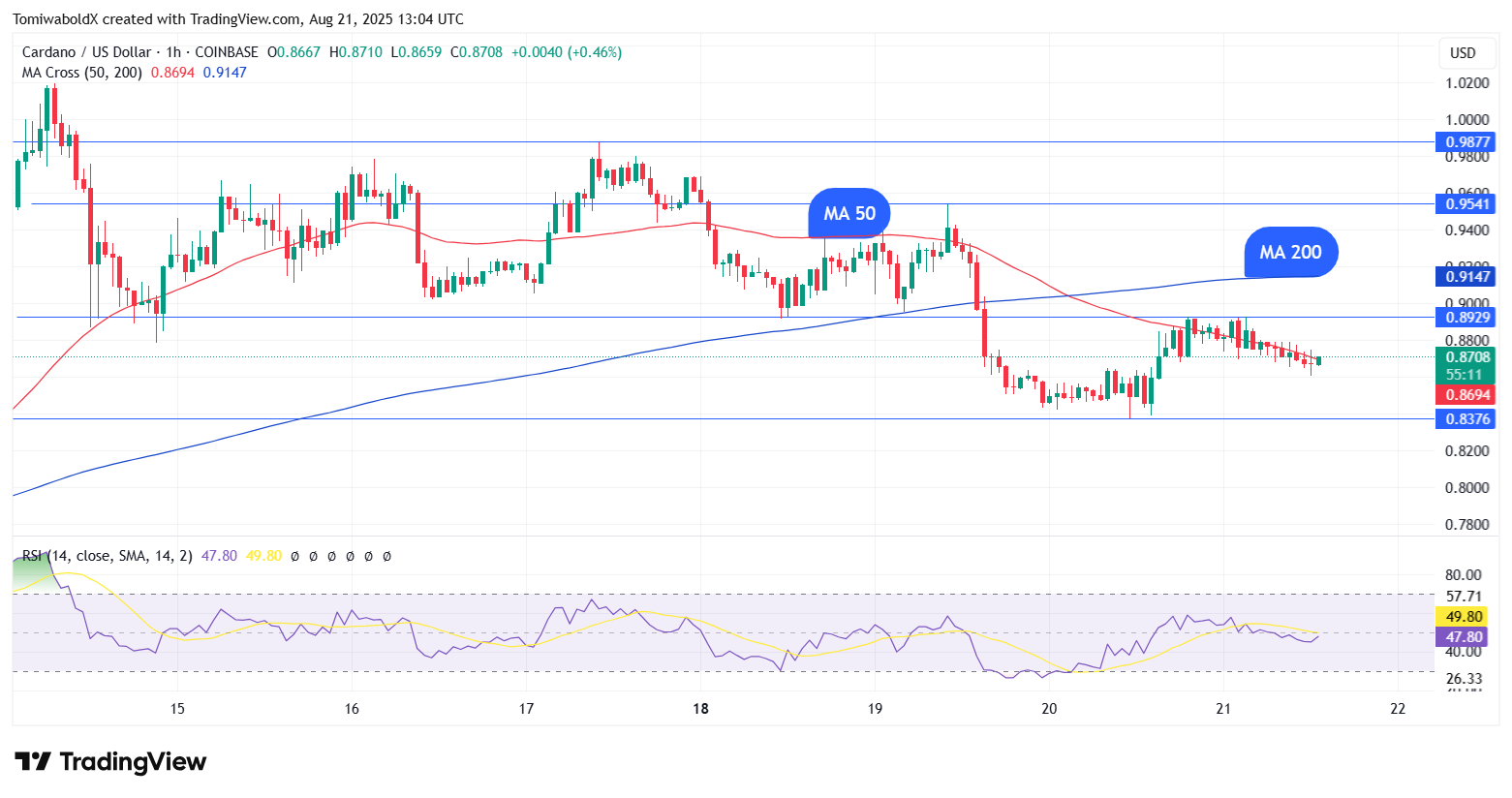 TradingView