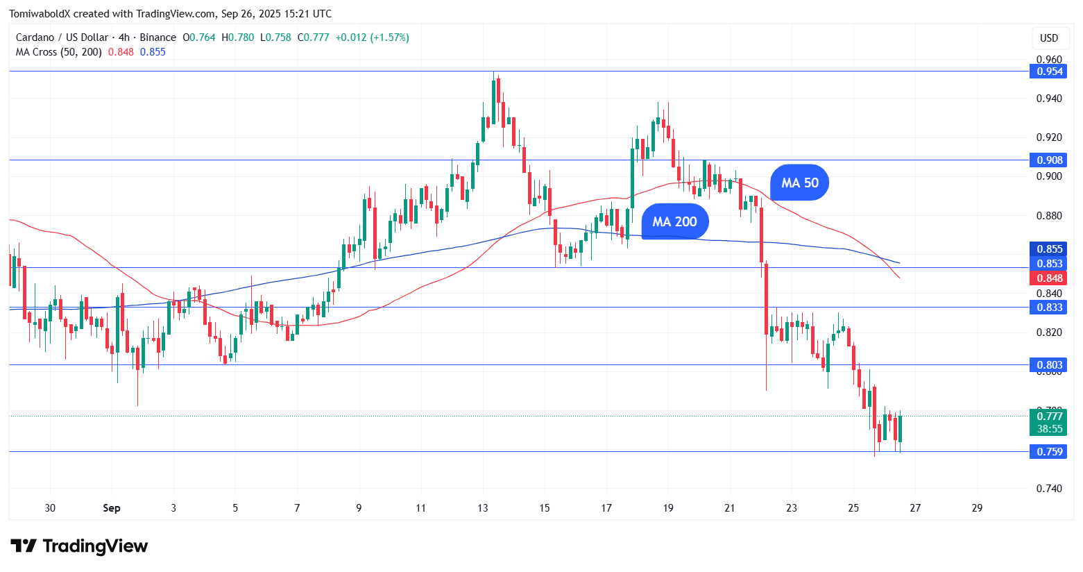 TradingView